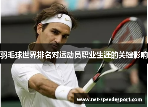 羽毛球世界排名对运动员职业生涯的关键影响