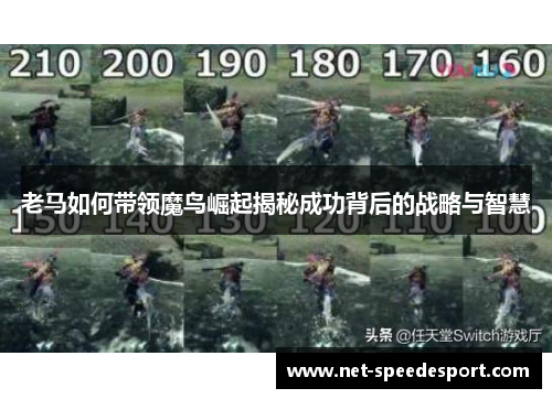老马如何带领魔鸟崛起揭秘成功背后的战略与智慧