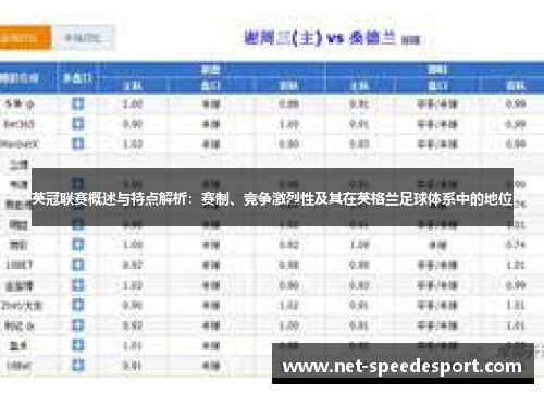 英冠联赛概述与特点解析：赛制、竞争激烈性及其在英格兰足球体系中的地位