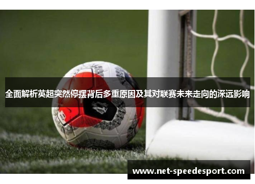 全面解析英超突然停摆背后多重原因及其对联赛未来走向的深远影响 全面解析英超突然停摆背后多重原因及其对联赛未来走向的深远影响